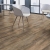 KAINDL CLASSIC TOUCH WR DĄB SALOON MOODBON PANELE PODŁOGOWE AC5 WIZUALIZACJA