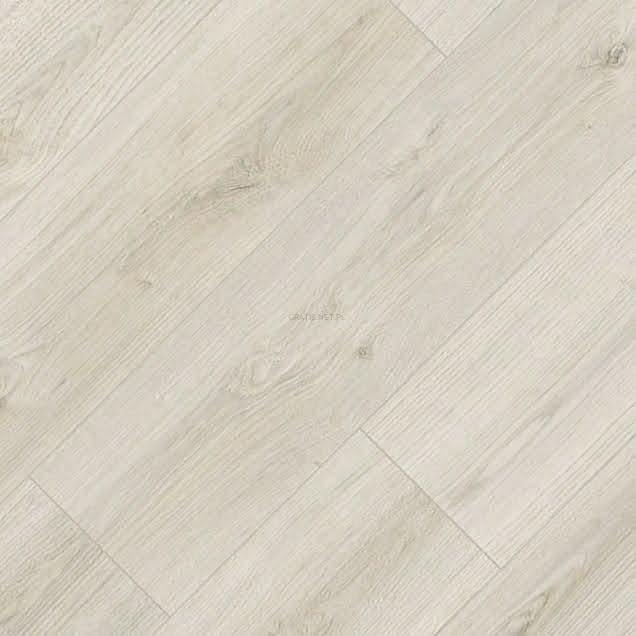 KAINDL-M.-NATURAL-STANDARD-4V-EVOKE-DELIGHT-PA-25724