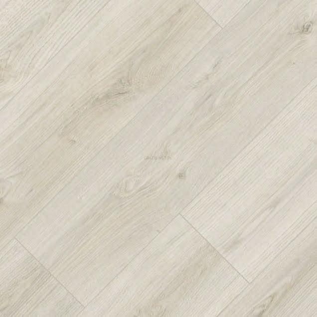 KAINDL-M.-NATURAL-STANDARD-4V-EVOKE-DELIGHT-PA-25724