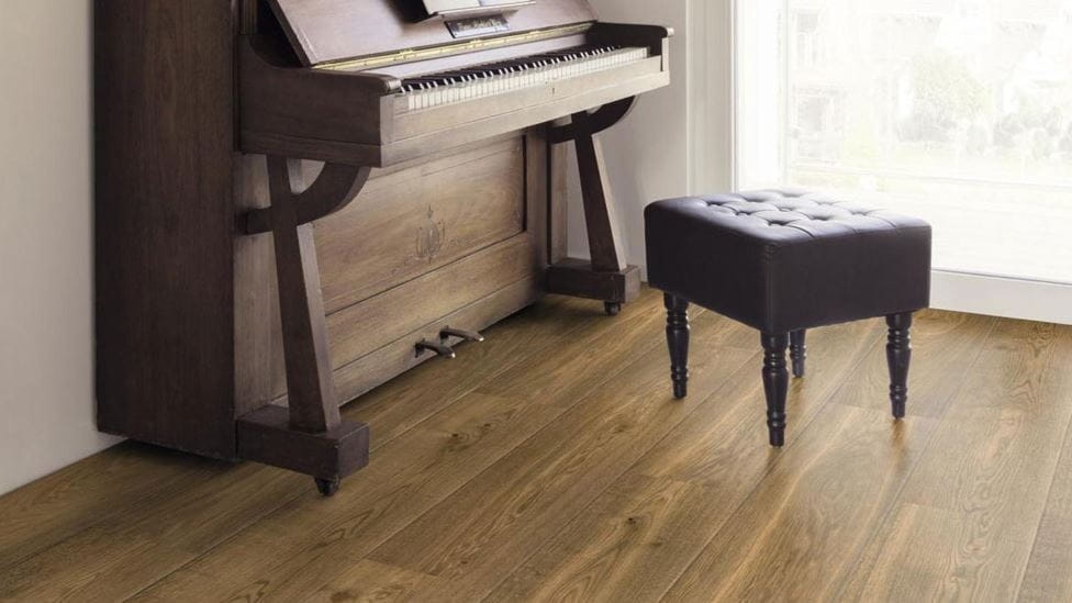 KAINDL DĄB CHESTER3.JPG