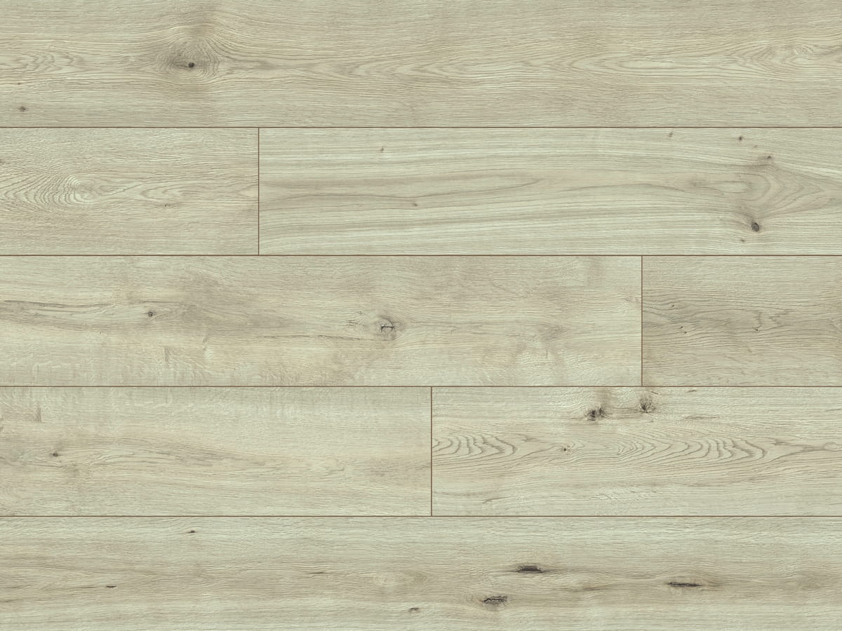 CLASSEN CHARM 4V DĄB PORTLAND WR AC5 2.jpg