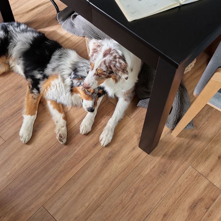 CLASSEN QUERRA CLASSIC DĄB ALMOND WR AC4 3.JPG