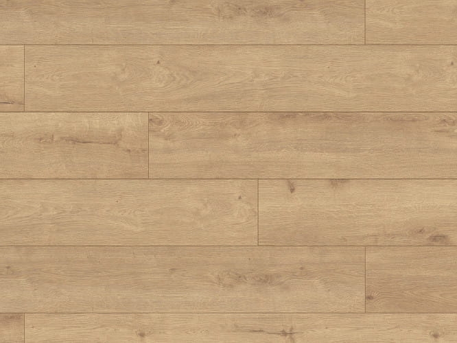 K-O ATLANTIC 8 DĄB SUNDANCE 3.jpg