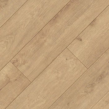 K-O ATLANTIC 8 DĄB SUNDANCE 1.jpg