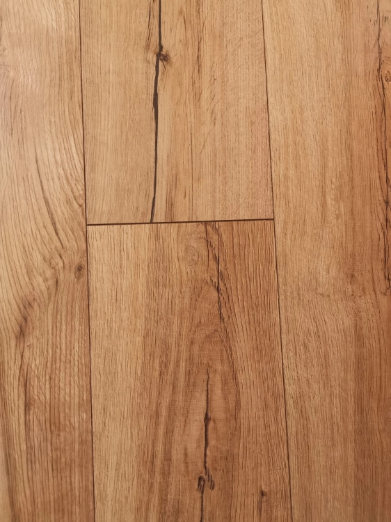 CLASSEN QUERRA HARMONY WR DĄB NEST 4.jpg