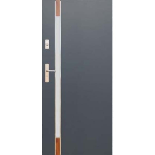 DRZWI WIKĘD FUTURE INOX WZÓR FI04B DRZWI ZEWNĘTRZNE WEJŚCIOWE