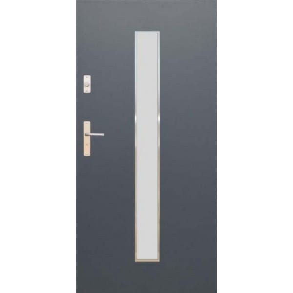 DRZWI WIKĘD FUTURE INOX WZÓR FI08A DRZWI ZEWNĘTRZNE WEJŚCIOWE