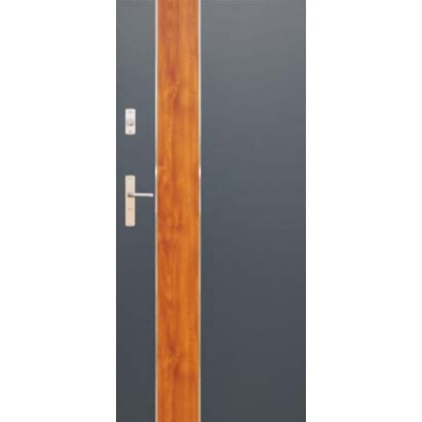 DRZWI WIKĘD FUTURE INOX WZÓR FI01B DRZWI ZEWNĘTRZNE WEJŚCIOWE