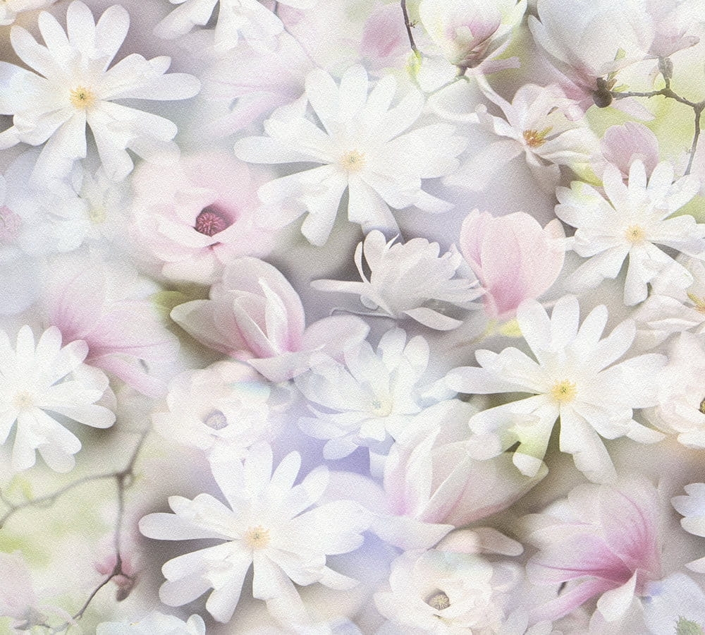 6dc6cecae727671501a132cc8da4fb28