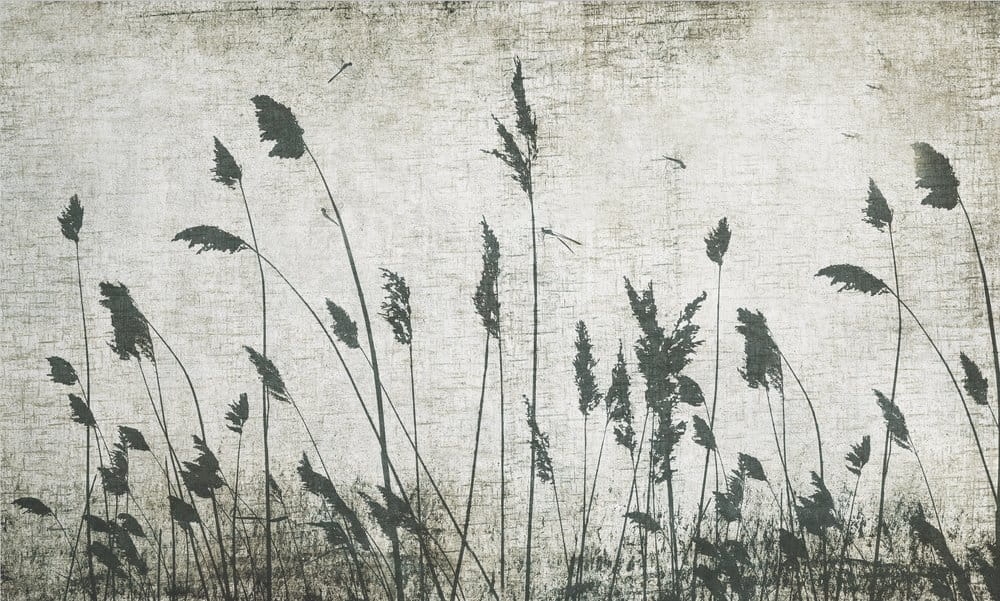 a36120d285eb58ca2c8b495161b98914