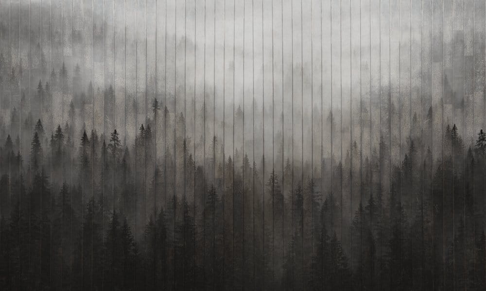 ded0ff696d94218efc8552736ebca7dc