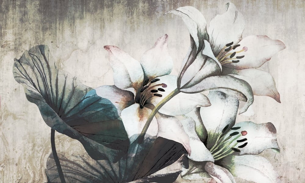 ba7aa87f31e13529bd3ff2483f6441fc