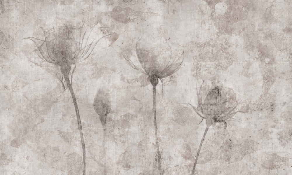 6974573c0af5386f4e23753fd6ac9bf0