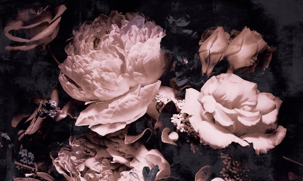 6c8cf920664777011d75d04bbdc4a7e2