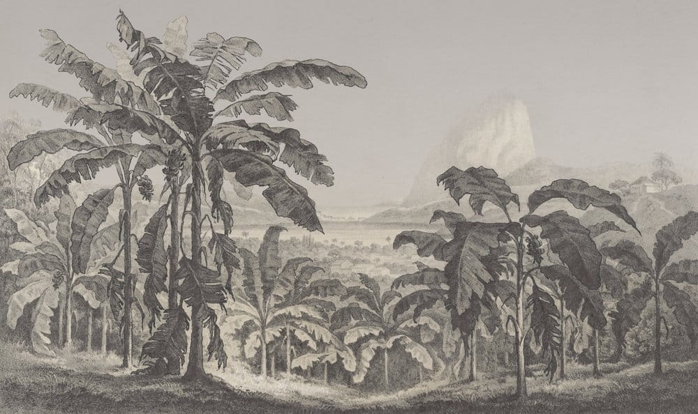 a523c5400f654f1bc7cbd0faf9297a06