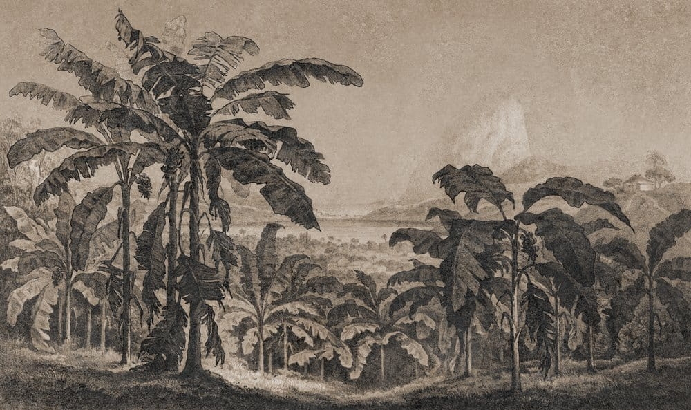 Fototapeta AP CONTRACT DD120578  450g/m2 winyl na podkładzie tekstylnym (B-s2, d0) 5,00 m x 3,00 m