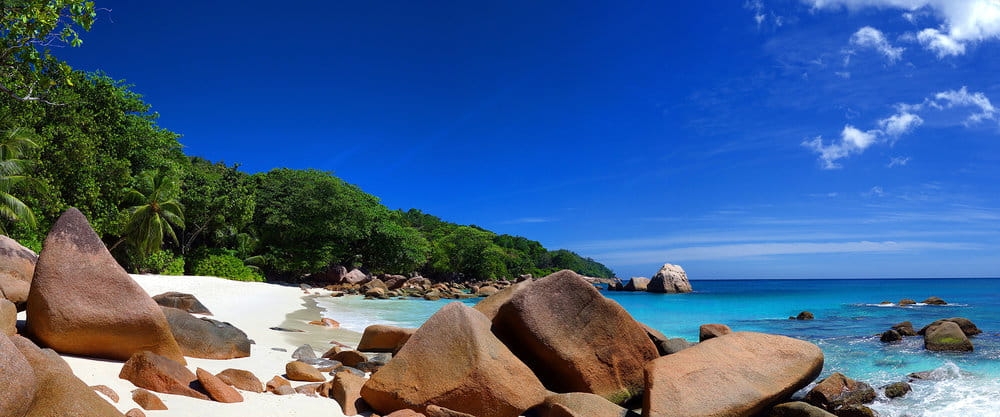 Fototapeta AP Digital 3 AS471841  200g flizelina premium 6,00 m x 2,50 m