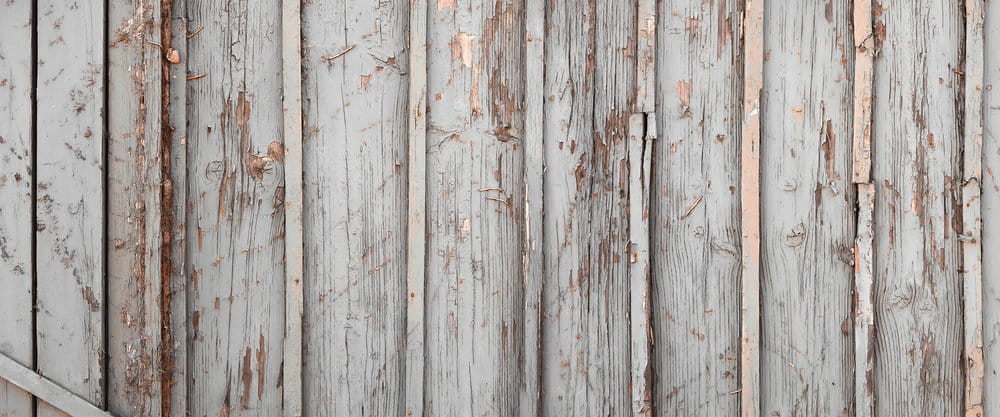 Fototapeta AP Digital 3 AS472758  flizelina strukturalna 6,00 m x 2,50 m