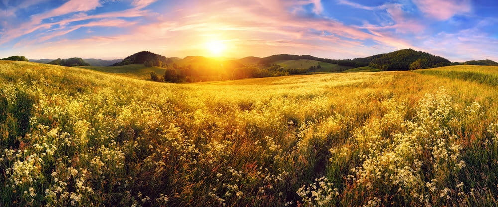 36f980b3f4828c40ce003ebb69de7bde