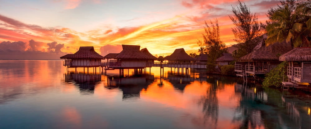 Fototapeta AP Digital 3 AS476844  130g flizelina matowa 6,00 m x 2,50 m