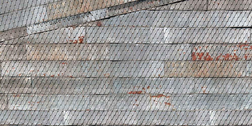 Fototapeta AP Digital 4 DD108582  flizelina strukturalna 5,00 m x 2,50 m