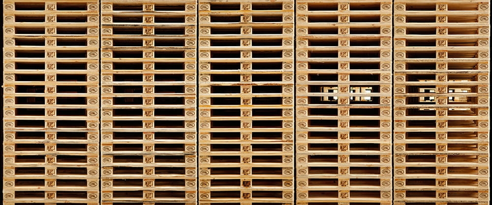 Fototapeta AP Digital 4 DD108682  flizelina strukturalna 6,00 m x 2,50 m