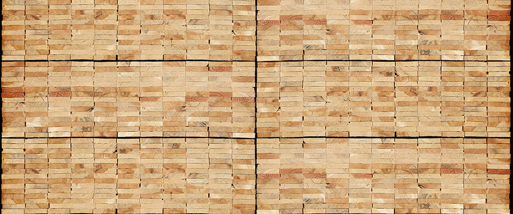 Fototapeta AP Digital 4 DD108684  150g flizelina basic 6,00 m x 2,50 m