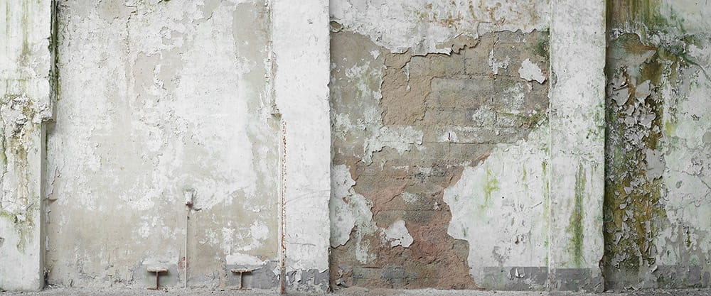 e15e2b861cd84a102e317aa8ca1b3e11