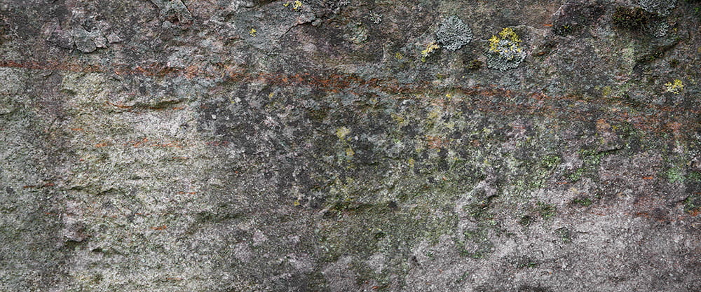 f54cd61b98604b0d01e639672a262d55