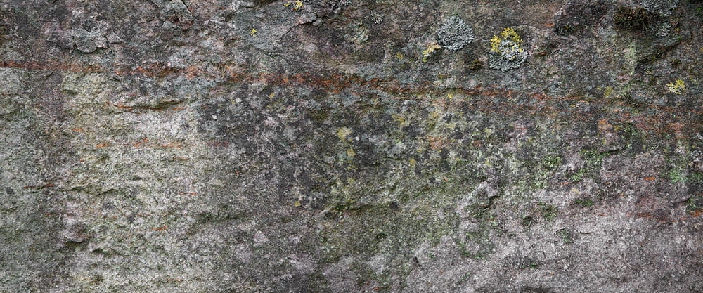 Fototapeta AP Digital 4 DD108725  200g flizelina premium 6,00 m x 2,50 m