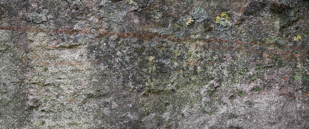 08342b7f8ea89c55ae66bdc11b39cf1f