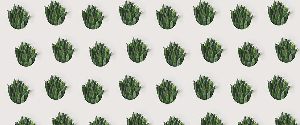 Fototapeta AP Digital 4 DD109004  150g flizelina basic 6,00 m x 2,50 m