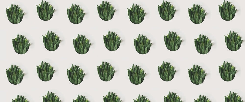 Fototapeta AP Digital 4 DD109005  200g flizelina premium 6,00 m x 2,50 m