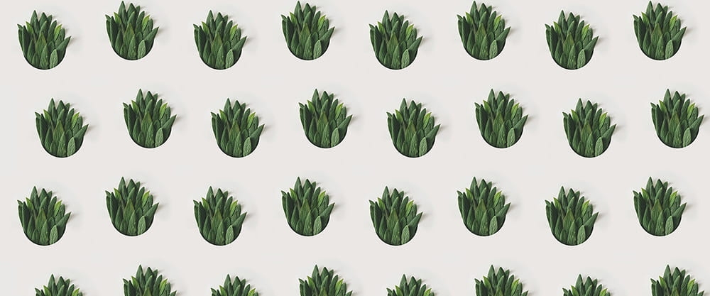 2d92fe6748b3be7b8e74805a0842baa3