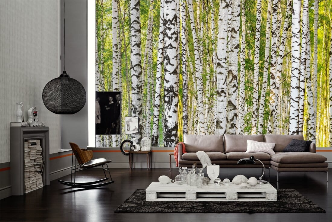 877278337159d4e83549ddecb82833d2