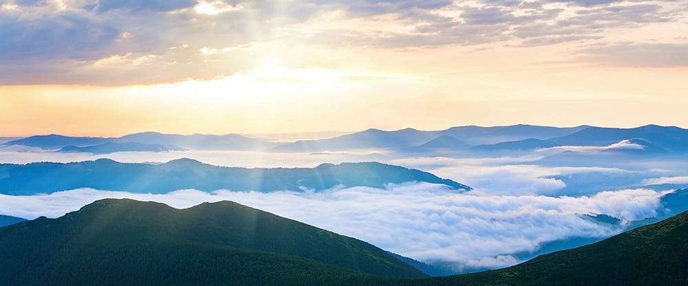 Fototapeta AP Digital 4 DD109213  200g flizelina z połyskiem 5,00 m x 2,50 m