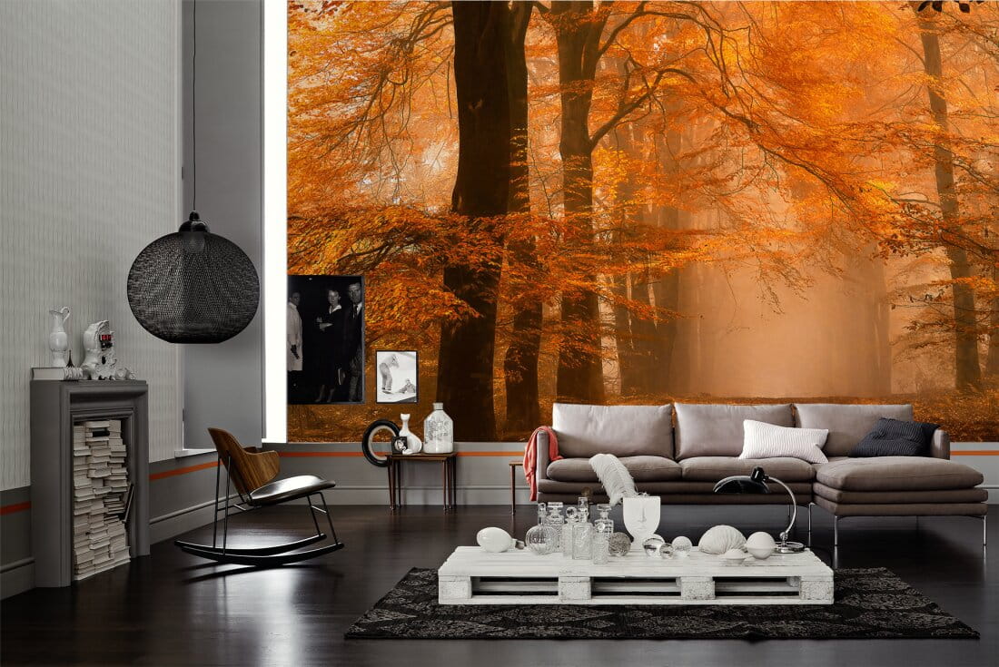 67b71673da0231f7fcba4ae5f038fc12