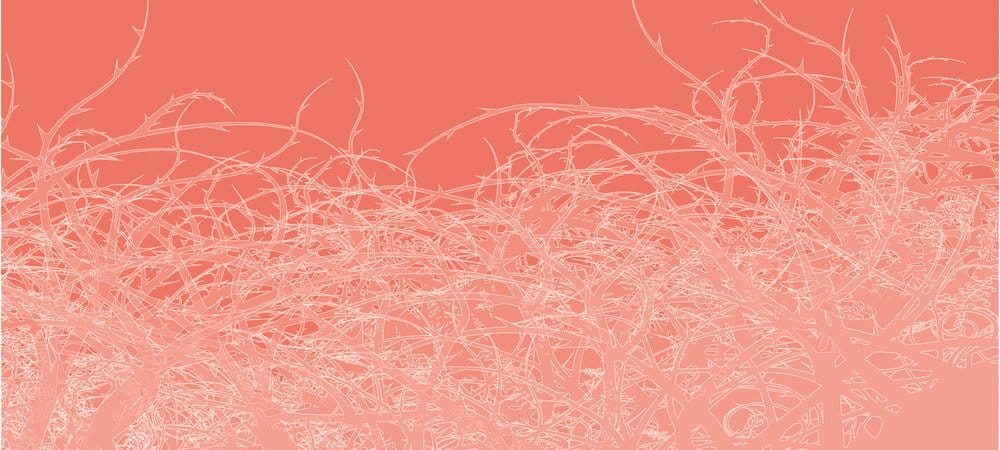 Fototapeta Atelier 47 DD116785  200g flizelina premium 6,00 m x 2,70 m