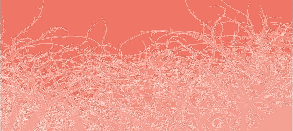 f6755be72e73da035e95cadb0c258a17