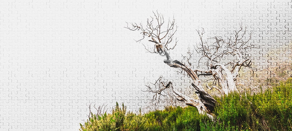 d8d5709a322c814d0c0757a119fb1dc5