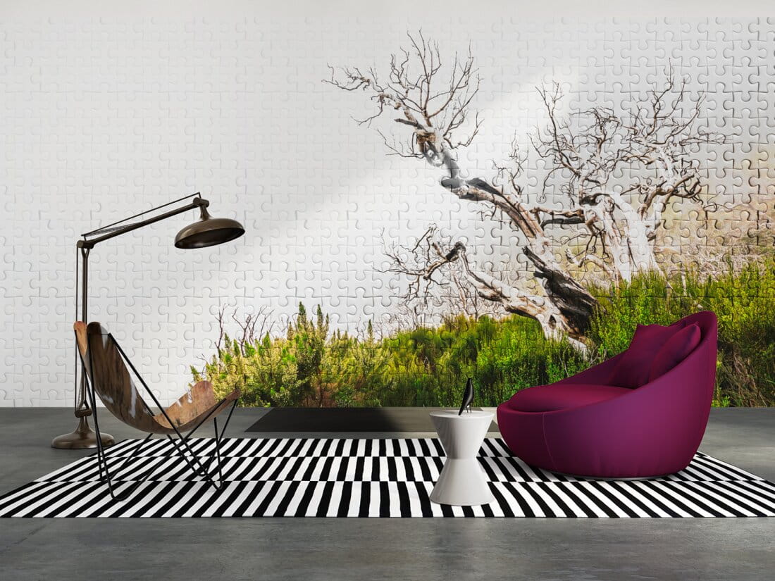 3e1f427eacd6310ef961d736ab5dffdf