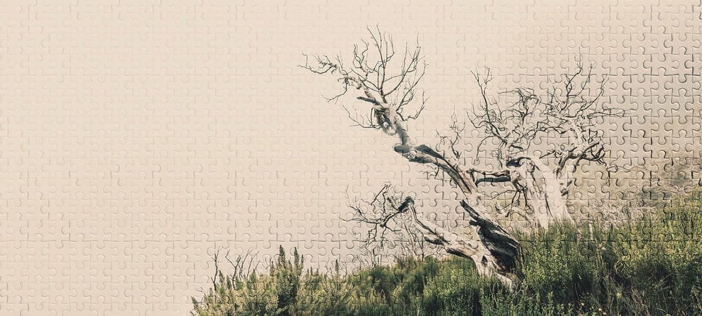 e52a85ec91ed61c89424e38972cc4027