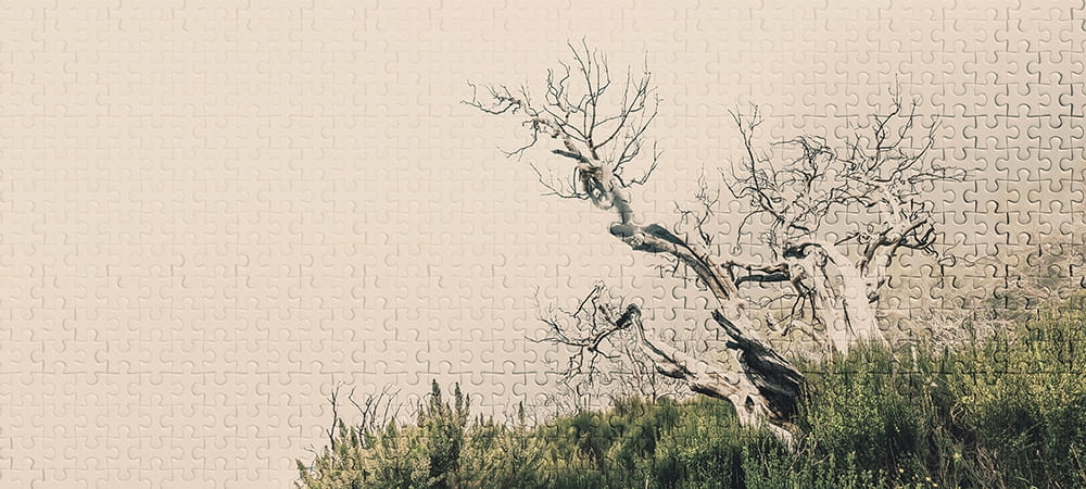 e8c7c6d1de68132758b5a994f670a01c