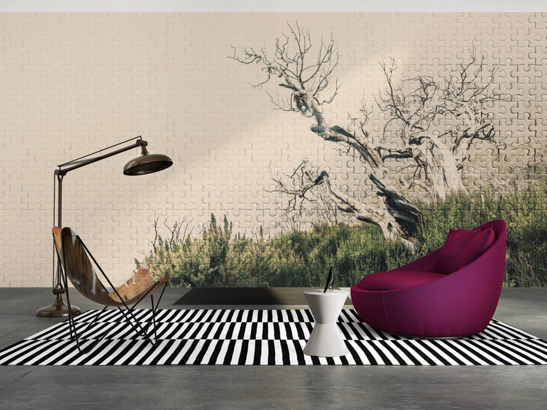 6dc43db9857d50b6dafbba9accba87b2