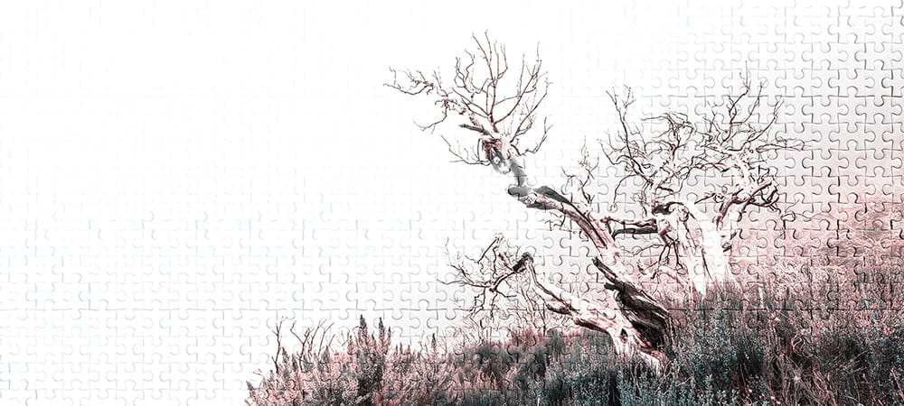 29b9c09b48da535cc0167e0584de4ff5