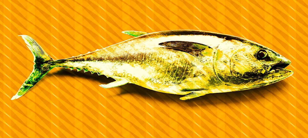 bcf35d6519544ec85a3bad6adfacdd69