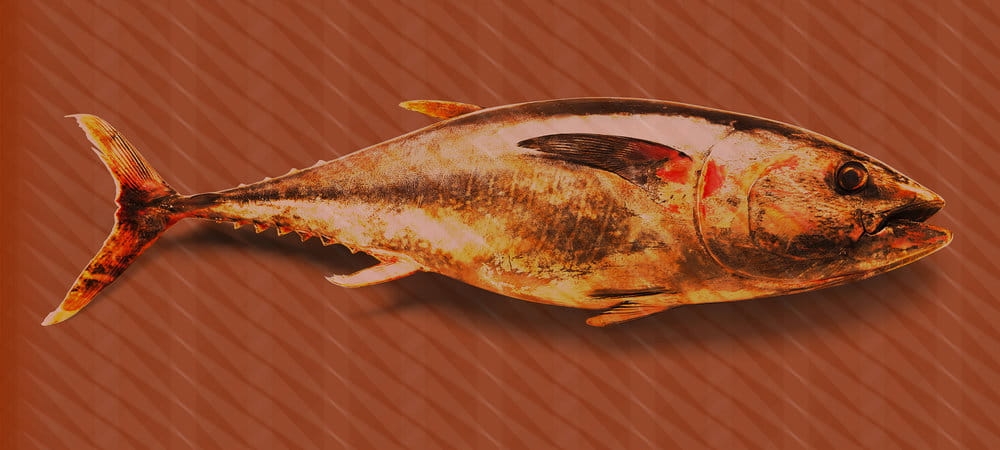 8a656ef20b6706b13986d97ac9883819