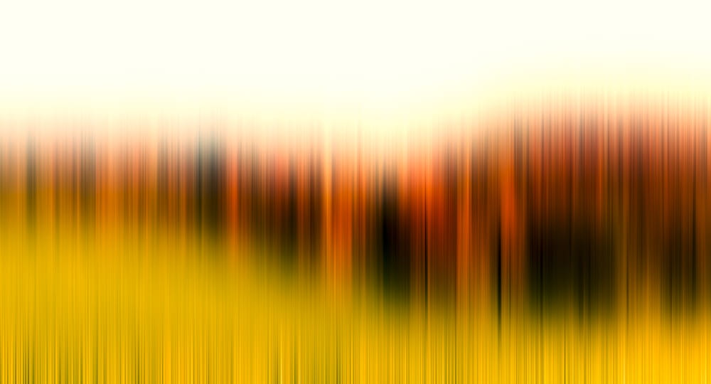 d31938e64bfaddfd98ca27a9289b327e