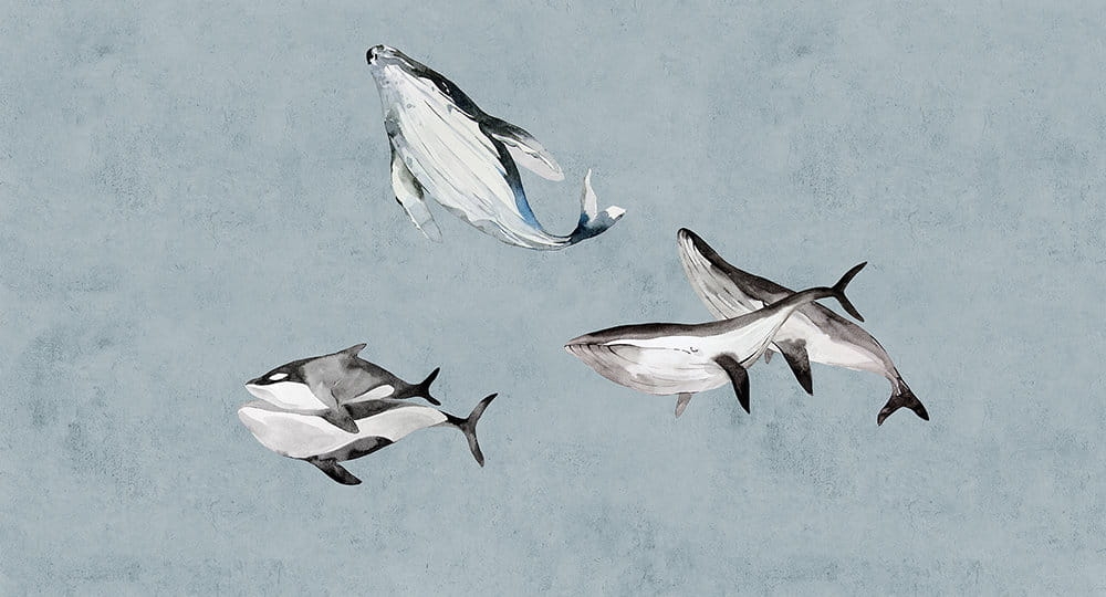 Fototapeta Walls by Patel 3 DD122015  200g flizelina z połyskiem 5,00 m x 2,70 m