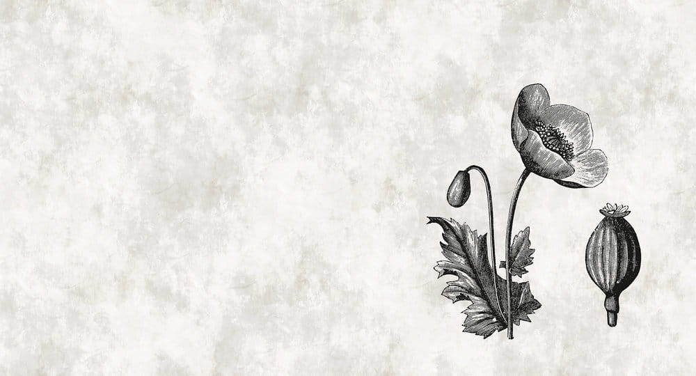 Fototapeta Walls by Patel DD110376  200g flizelina premium 5,00 m x 2,70 m